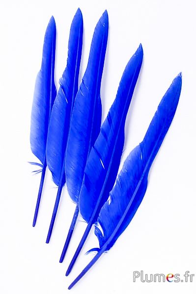 Cygne lame - 28-33 cm - bleu